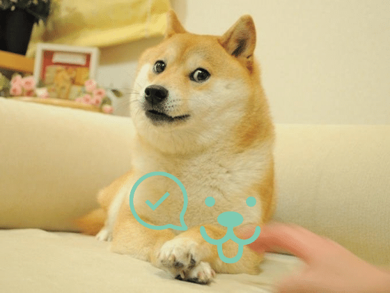 Good Pet Photo Example