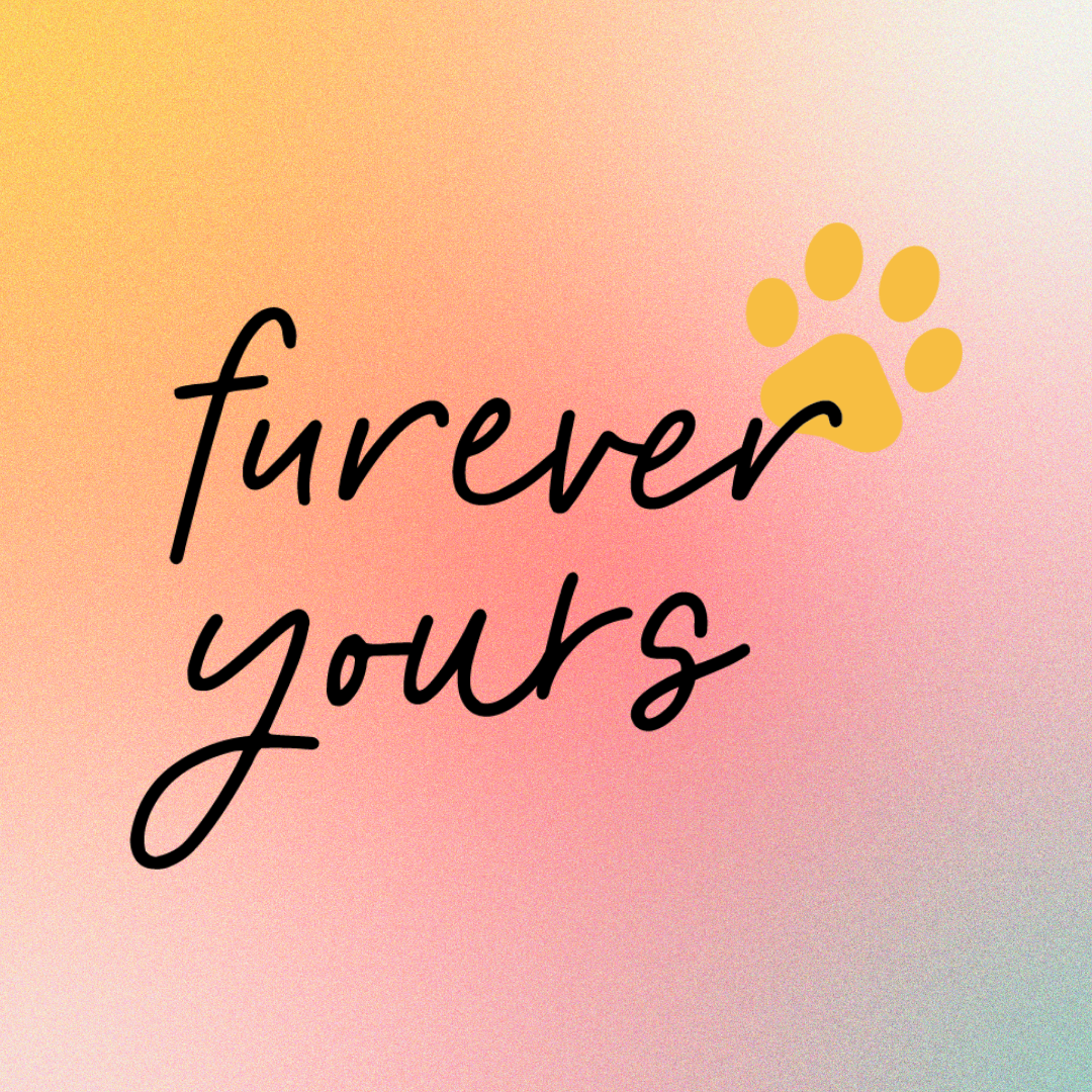 Portfolio Pet Gift Card