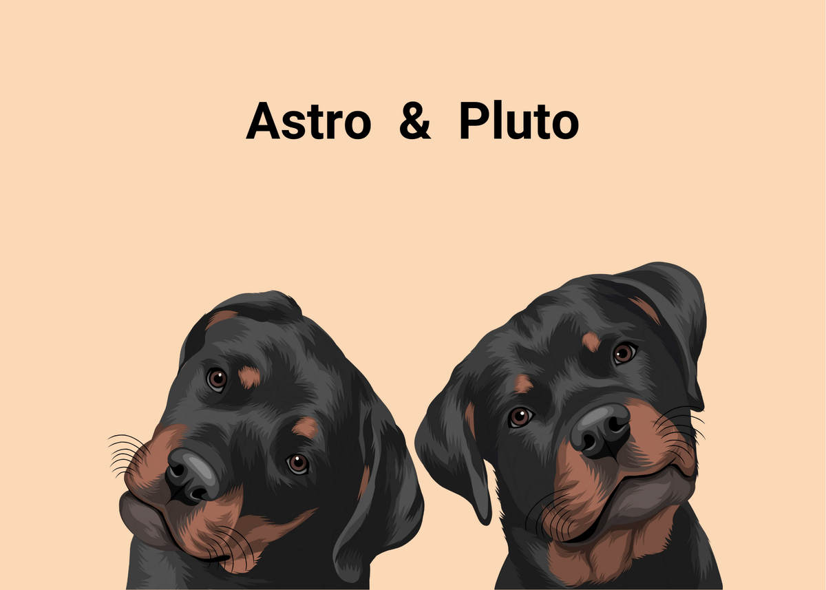 Custom Two Pets Portrait