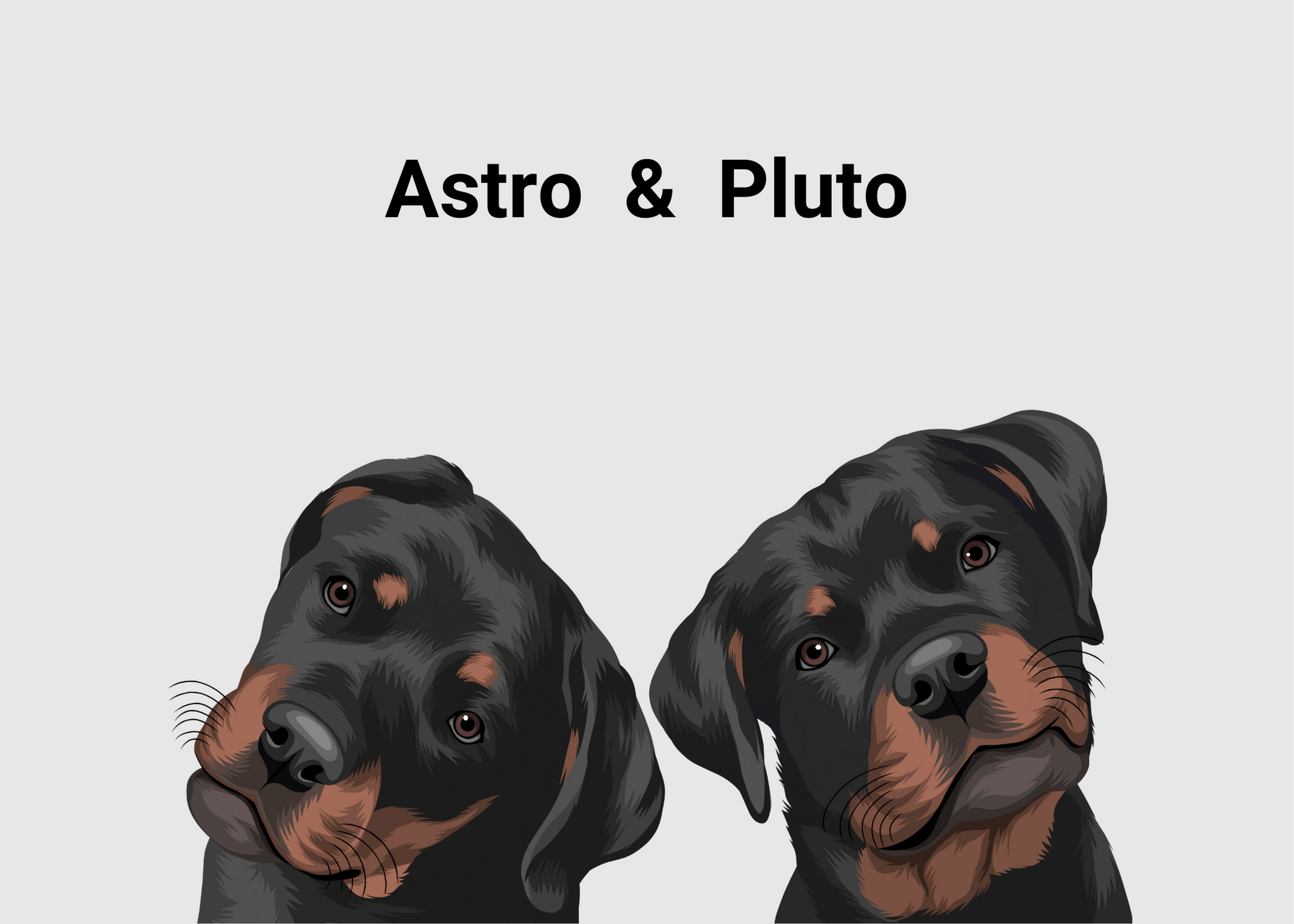 Custom Two Pets Portrait