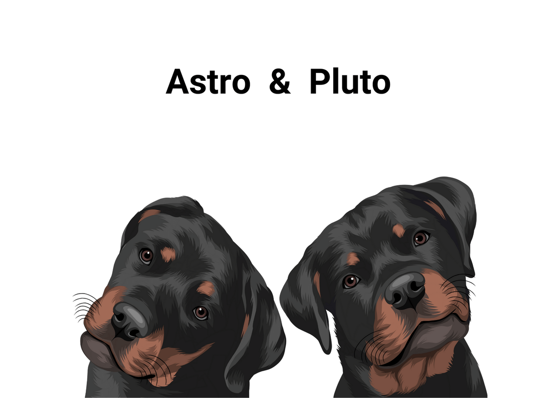 Custom Two Pets Portrait