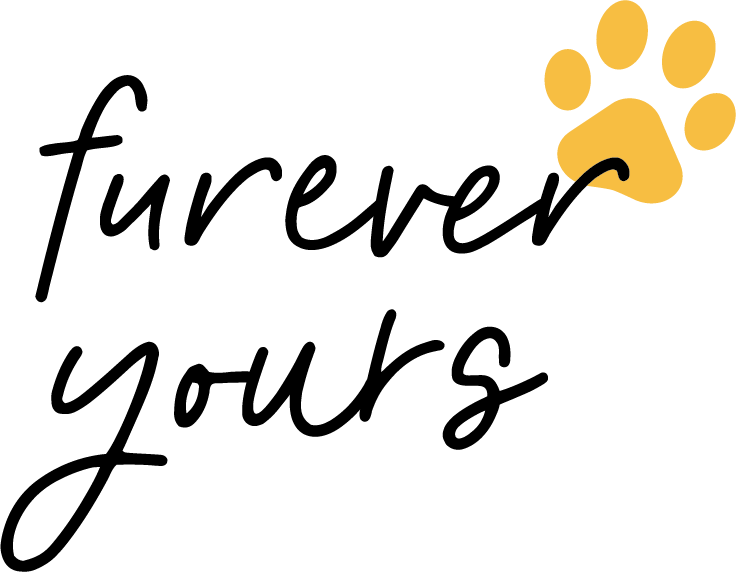Portfolio Pet Gift Card