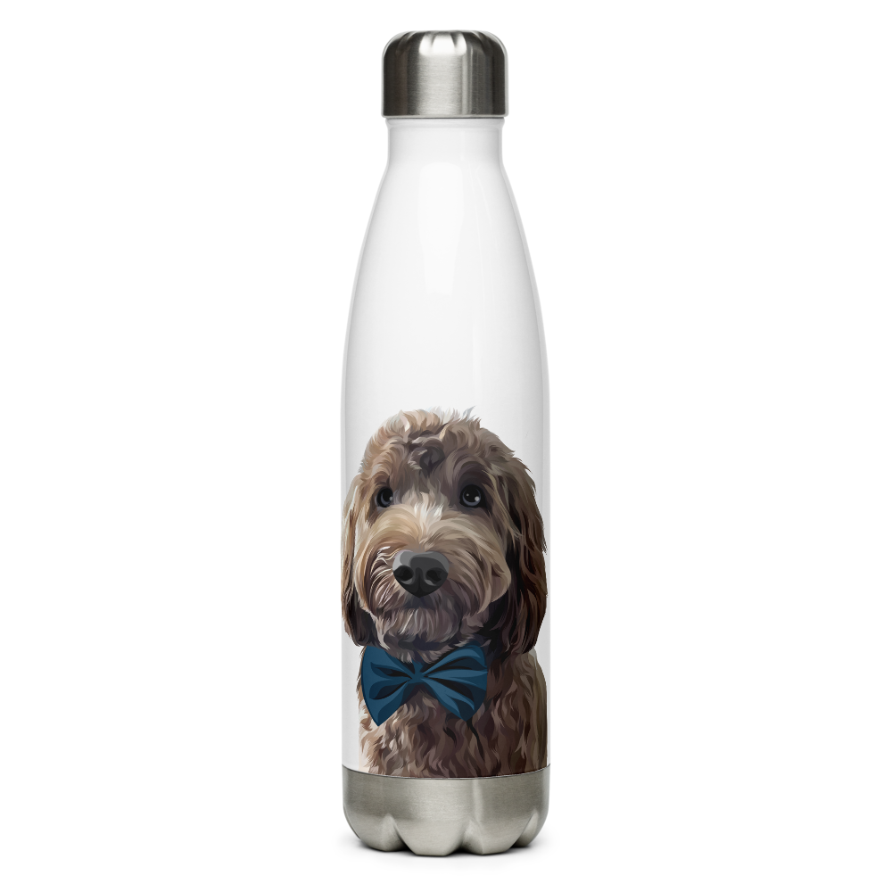 Stainless Steel Water Bottle