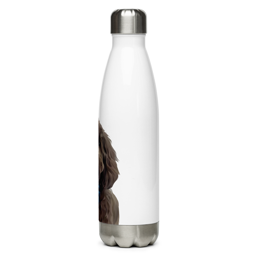 Stainless Steel Water Bottle