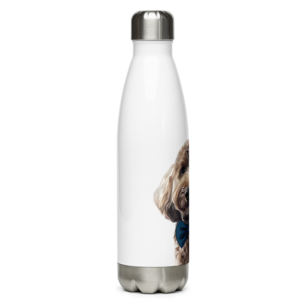 Stainless Steel Water Bottle